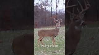 THE BEST DEER HUNT I HAVE EVER HAD!