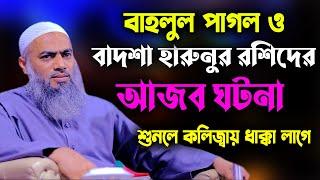 বাহলুল পাগল ও বাদশা হারুনুর রশিদের আজব ঘটনা আল্লামা মুফতী মুস্তাকুন্নবী কাসেমী Mustakunnabi Kasemi