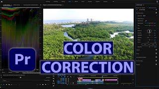 Color Correction in Adobe Premiere Pro