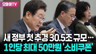 이재명 정부, 국민 1인당 최대 50만원 '소비쿠폰'...30.5조원 규모 추경안 국무회의 의결