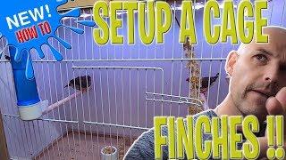 How to Setup a cage for FINCHES ! FINCH care 2019 | Breeding Birds