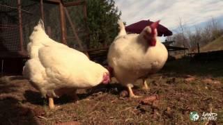 Magda und Margot wurden gerettet!