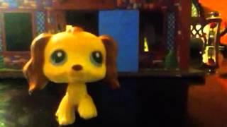 Lps : girl on fire -3