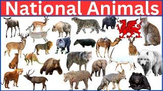 National Animals EXPOSED What They Represent About Their Countries