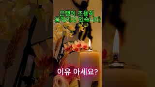 《은행이 조용히 움직이고 있습니다 – 이유 아세요?》#은행금리 #예대마진 #대출금리 #금리인하 #돈의흐름연구소