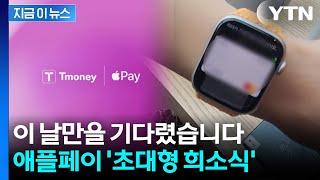 드디어...이제 아이폰·애플워치도 교통카드 된다 [지금이뉴스] / YTN