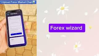 How to use Forex Wizard
