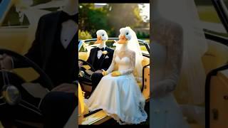 The Bride Duck & Mr. Quack