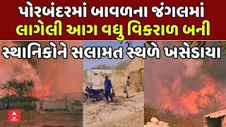 Fire at Porbandar | પોરબંદરમાં બાવળના જંગલમાં લાગેલી આગ વધુ વિકરાળ બની