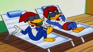 The Ultimate Vacation Competition | 1 Hour of Woody Woodpecker