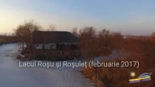 Delta Dunarii iarna (filmare aeriana - full HD) the Danube Delta winter