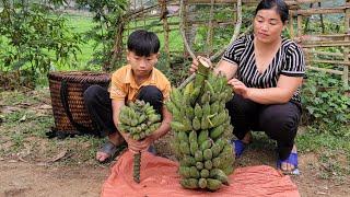 Single mother and her son harvest bananas to sell - single mother life