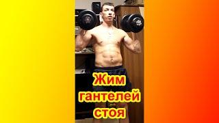 Жим гантелей стоя. Упражнение для плеч. #Shorts