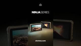 Introducing the all new Ninja series