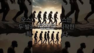 인간의 진화과정   초기 인류에서 호모 사피엔스까지