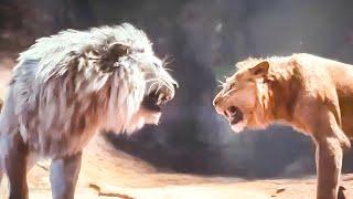 Mufasa and Taka Joins Forces To Kill The Ruthless White Lion King and His Pride