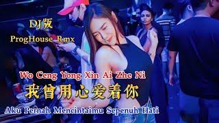 DJ版 - 我曾用心爱着你 - Wo Ceng Yong Xin Ai Zhe Ni - 潘美辰 - ProgHouse Rmx #dj抖音版