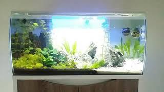 Fluval Flex 123 L AquaSky 2.0 ( 2x ) Gewittersimulation