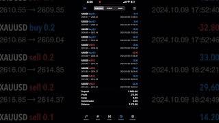 Forex Daily Profit : 09/10/2024 - $211 dollars