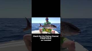 SWISS & International FISHING-CONTENT on my Channel ! FISHFIZZLE !