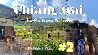 [치앙마이 한달살기] #2 넘넘 좋아서 두 번이나 다녀온 코끼리 카페!  | Elefin Farm & Cafe