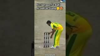 His care on Ball and StumpMatheesha Pathirana #Cricketcrushgirl #Shorts #Match #JSK #Love #Crush