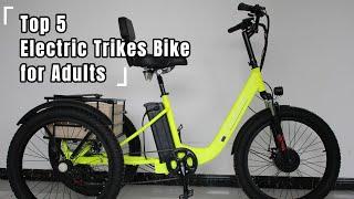 Top 5 Electric Trikes Bike for Adults | The Best E-tricycle 2024 in Tianjin Anyida Trikes Factory