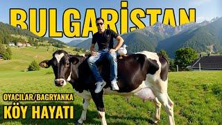 BULGARİSTAN OYACILAR KÖYÜNDE MÜTHİŞ MANZARA | KÖY HAYATI - KÖY İŞLERİ | BULGARİSTAN KÖY BELGESELİ