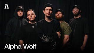 Alpha Wolf on Audiotree Live (Full Session)