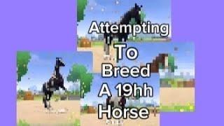 ATTEMPTING TO BREED A 19HH HORSE *equestrian the game*