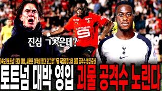 [속보] 토트넘 1티어 피셜, 새로운 이적설 떴다! 리그앙 17골 득점랭킹 3위 괴물 공격수 영입 준비