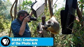 RARE: CREATURES OF THE PHOTO ARK | Official Trailer | PBS