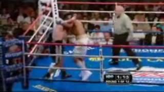 Alfredo Perro Angulo vs  Joachim Alcine k o 1 round