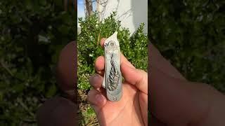 Serge Panchenko Bean Mid-tech with Copper Inlay & Silver Menuki #shorts #youtubeshorts