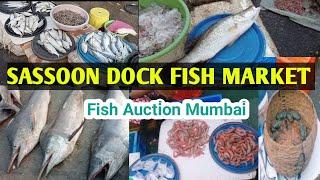 Biggest Fish Market in mumbai!Sassoon Dock Fish Market!! Colaba fish market !!Fish Auction in mumbai