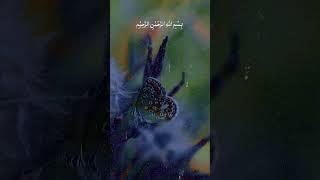 Surah Al Kausar
