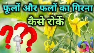 FLOWER AND FRUIT DROPPING PROBLEM DISCUSSED WITH PROPER SOLUTION TO EACH SCENARIO