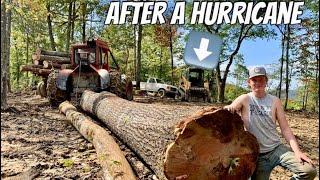 LOGGING AFTER A HURRICANE