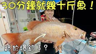 香港釣魚2023︱30分鐘就幾十斤魚了！！今天收穫一定爆多？最後收竿竟然中大魚！還好守到最後！ 米之蓮餐廳老闆分享煮魚食譜！！