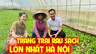 Rau An Toàn trồng nhà lưới | Thực phẩm sạch cho gia đình Việt