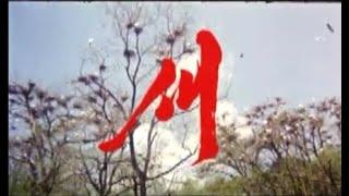 North Korean Movie "Bird" 북한영화 "새"