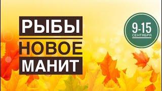 Рыбы ️ 9-15 сентября 2024 года ️Таро Ленорман прогноз предсказания