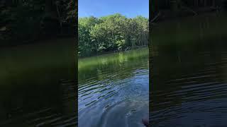Autism Hiking Adventures