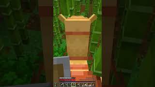 ️ WARNING ️ Camels  do NOT do well in BAMBOO  #minecraft