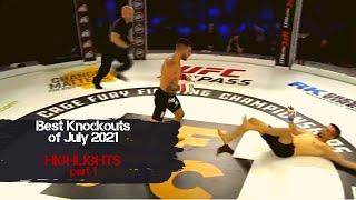Best Knockouts of July 2021 | part 1 | Highlights | MMA