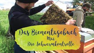 Die Schwarmkontrolle | Das Mellifera-Bienentagebuch | Mai