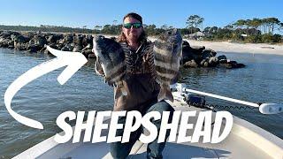 Try THIS Bait For Catching MORE SHEEPSHEAD AND SAVE MONEY