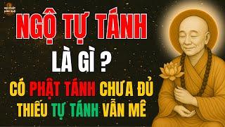 Lục Tổ Huệ Năng Giải Mã Ngộ Tự Tánh?Tìm Phật Cả Đời Không Bằng Một Lần Ngộ Tự Tánh–Học Phật Giác Ngộ