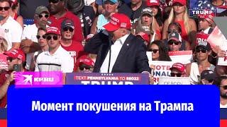 Момент покушения на Дональда Трампа попал на камеру