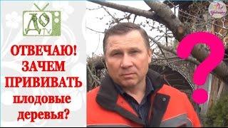 ДЛЯ ЧЕГО нужно ПРИВИВАТЬ плодовые деревья? ОТВЕЧАЮ на вопрос